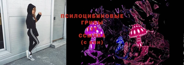 МДПВ Арсеньев