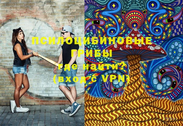 стаф Аркадак